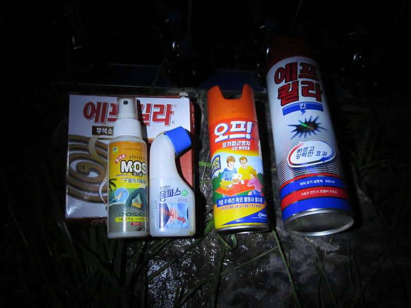 여름낚시 준비 끝 (커뮤니티 - 자유게시판)