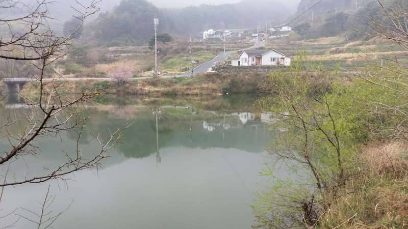 향수님께 사진투척 (커뮤니티 - 자유게시판)