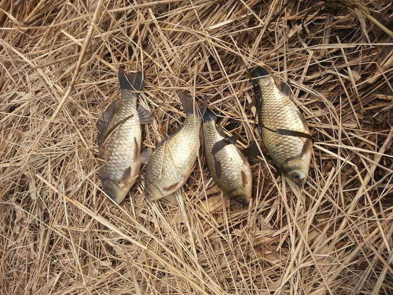유아독존님만 보시던지 말 타시던지ᆢ (커뮤니티 - 자유게시판)