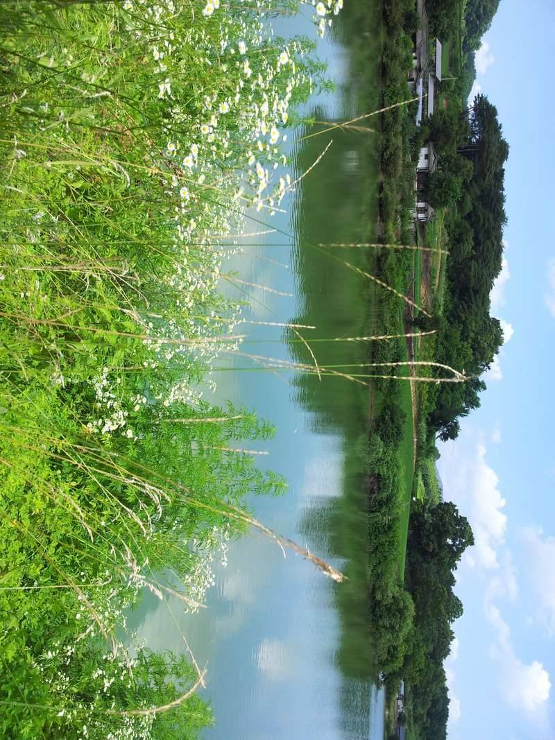 갑질 해봤쓰요 (커뮤니티 - 자유게시판)