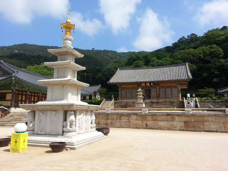 풍찬 노숙 시즌 9결과 (커뮤니티 - 자유게시판)