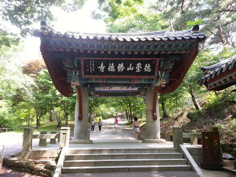 풍찬 노숙 시즌 9결과 (커뮤니티 - 자유게시판)