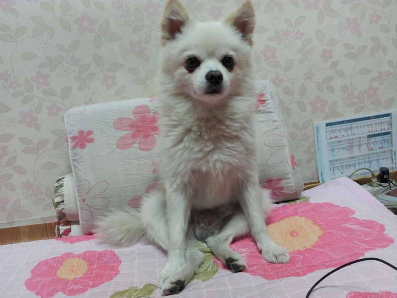 너무억울해서 글올립니다 (커뮤니티 - 자유게시판)