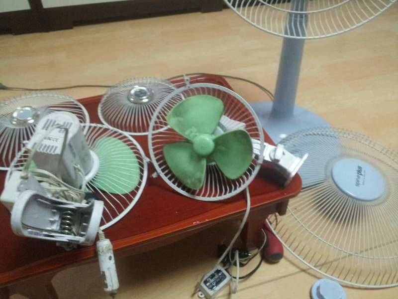 선풍기를 닦습니다 (커뮤니티 - 자유게시판)
