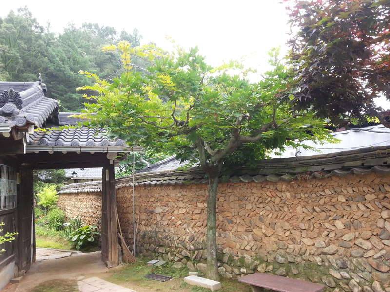 수목장 樹木葬 (커뮤니티 - 자유게시판)