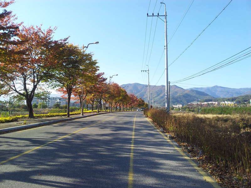 자전차 로드 (커뮤니티 - 자유게시판)