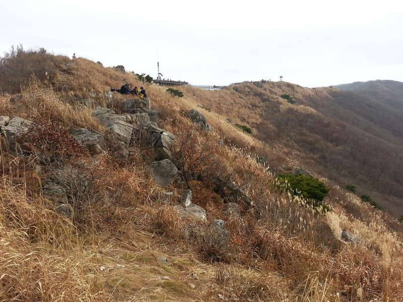 오서산 (커뮤니티 - 자유게시판)