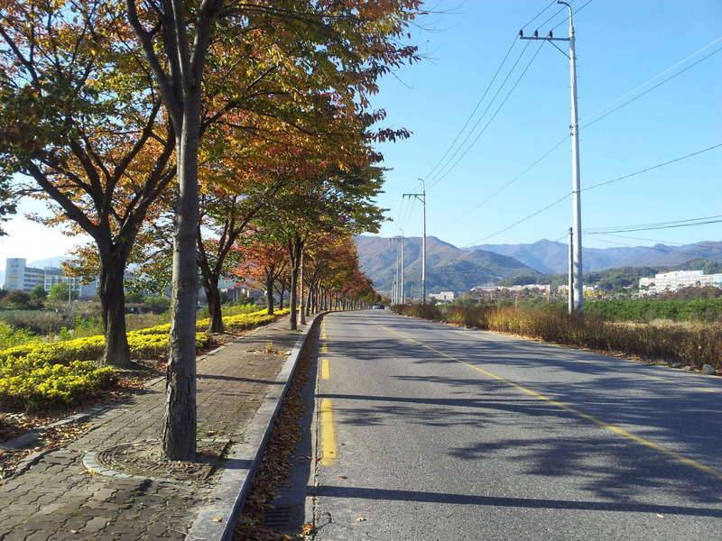 자전차 로드 (커뮤니티 - 자유게시판)