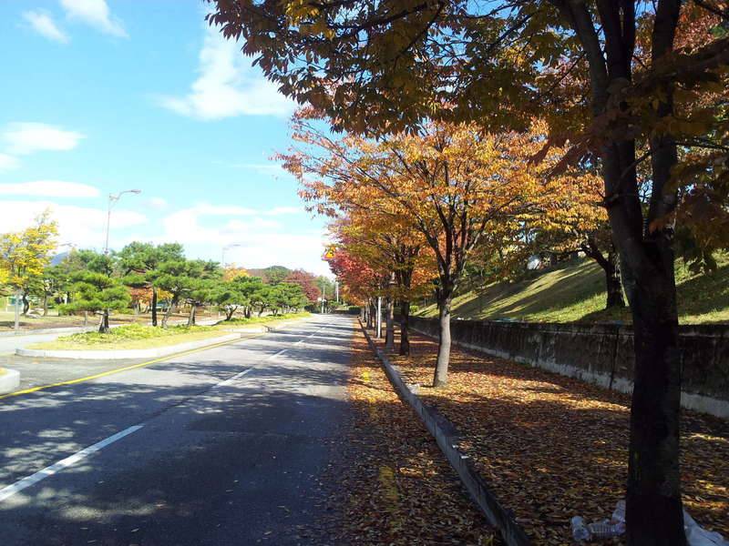 자전차 로드 (커뮤니티 - 자유게시판)