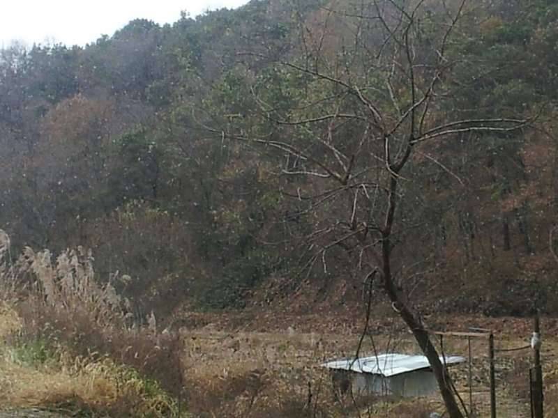 오늘도 땡땡이 (커뮤니티 - 자유게시판)