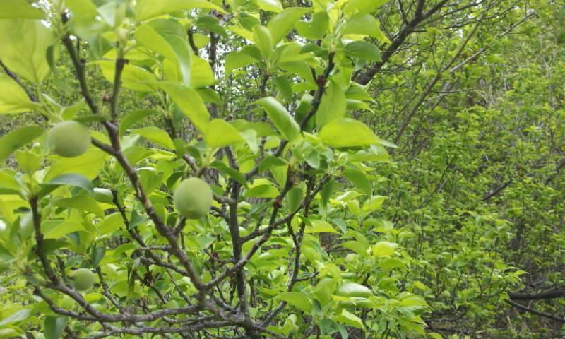 쌩초보의 배산임수 (커뮤니티 - 자유게시판)