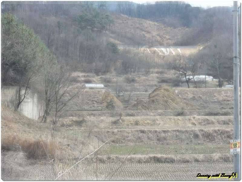 저수지 주인은 농부 (커뮤니티 - 자유게시판)