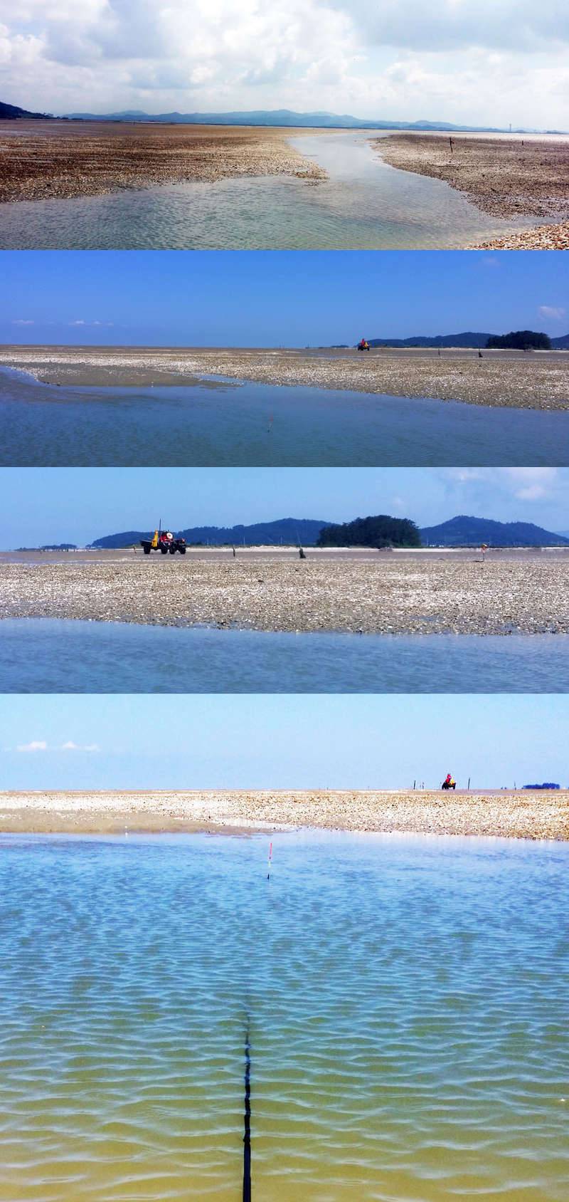 정가일지 소풍魚 (커뮤니티 - 자유게시판)