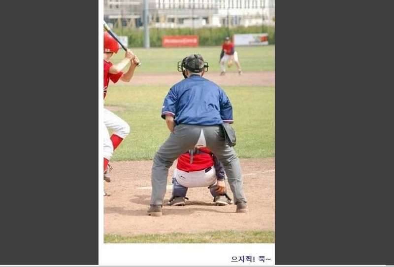 재미있는 사진들 (커뮤니티 - 자유게시판)