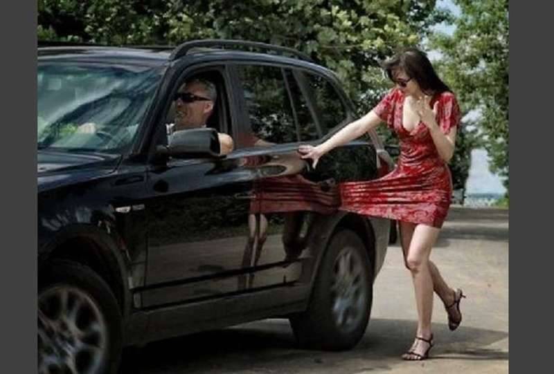 재미있는 사진들 (커뮤니티 - 자유게시판)