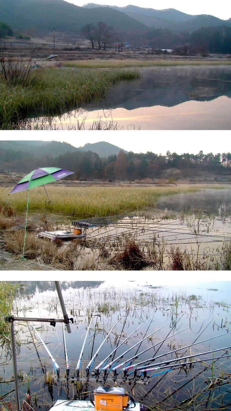 분위기만 좋았지 (커뮤니티 - 자유게시판)