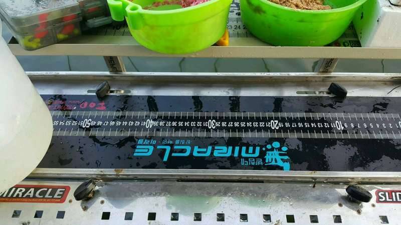 지난비에 붕어가 많이 컷네요 (커뮤니티 - 자유게시판)