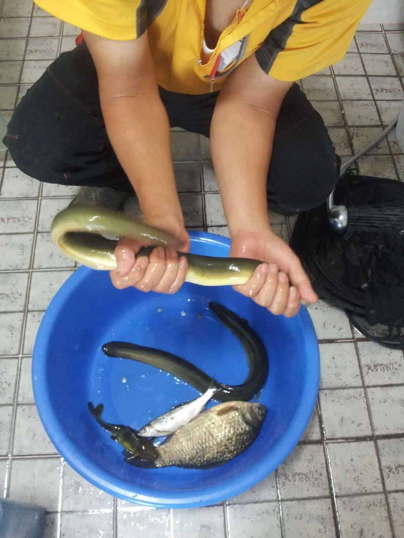 어찌 지내고 있는지 궁금해 하시는 분들이 계셔서 (커뮤니티 - 자유게시판)