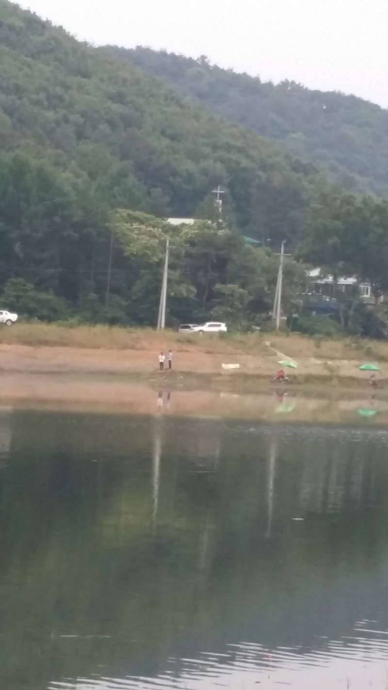 오늘의 사망토론 (커뮤니티 - 자유게시판)
