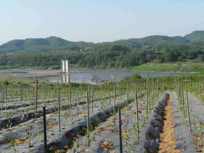 봉사활동으로 시작한 한주일 (커뮤니티 - 자유게시판)
