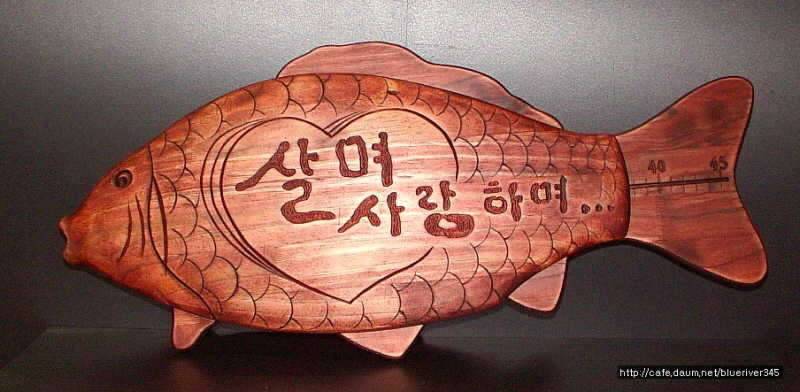 대물계측자 57 58호 (커뮤니티 - 자유게시판)