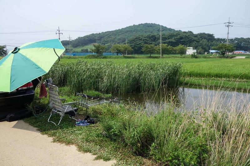 8치 붕어 (커뮤니티 - 자유게시판)