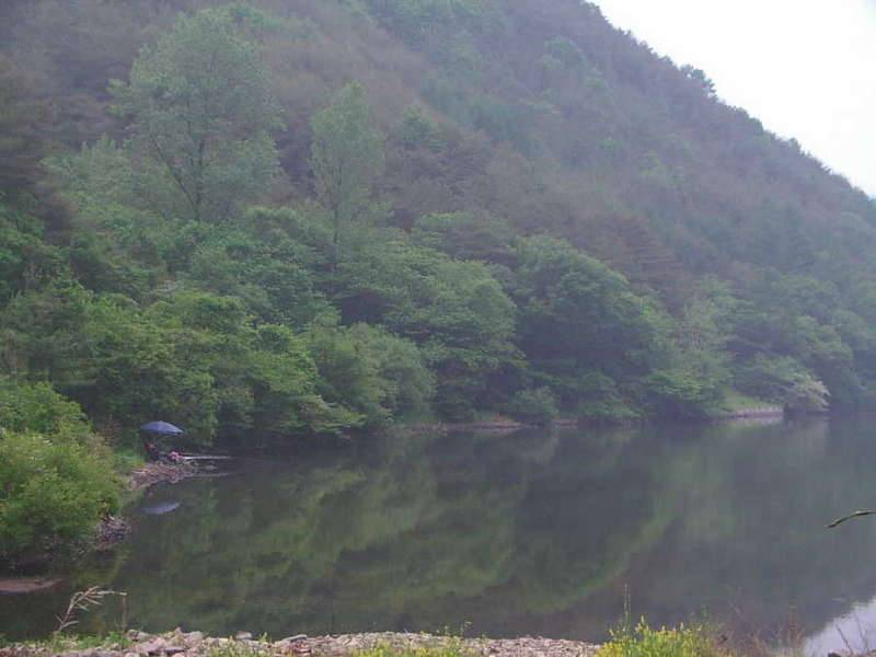 더위야 물렀거라 (커뮤니티 - 자유게시판)
