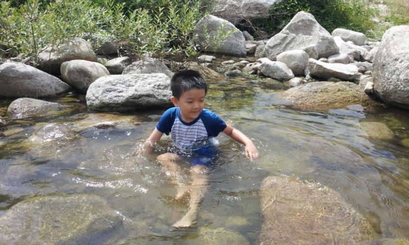 동산계곡 비밀 놀이터 (커뮤니티 - 자유게시판)