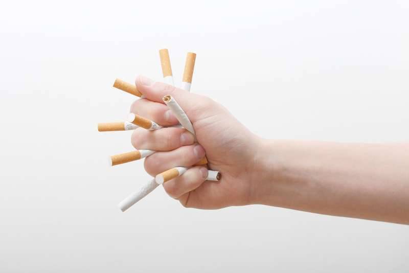 건강정보 알려드려요 수족구병 (커뮤니티 - 자유게시판)