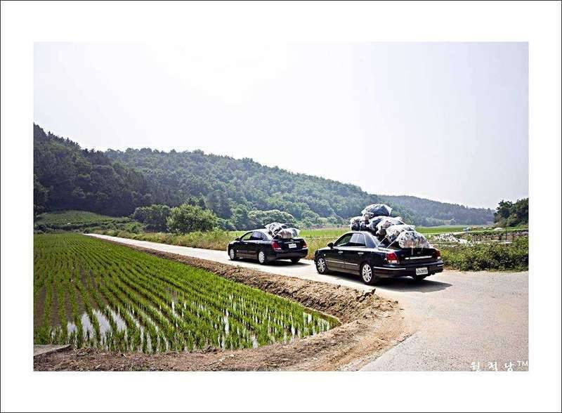 세상에서 제일 행복한쓰레기 (커뮤니티 - 자유게시판)