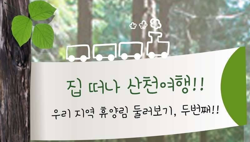 남해 편백 나무숲 가보셨는지요 (커뮤니티 - 자유게시판)