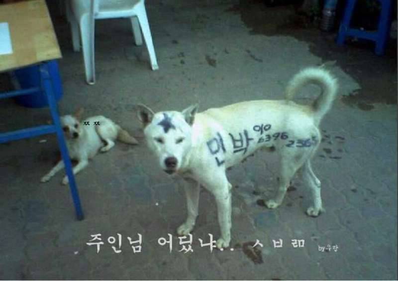 재미있는 사진들 2 (커뮤니티 - 자유게시판)