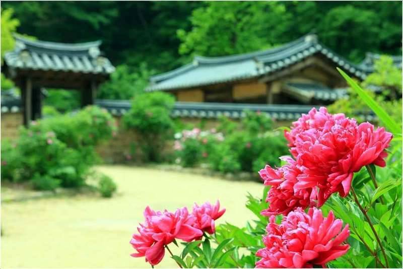 설 명절 입니다 (커뮤니티 - 자유게시판)