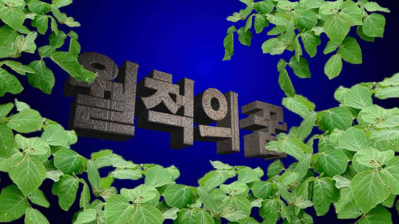 감질나는 금요일 출 석 (커뮤니티 - 자유게시판)