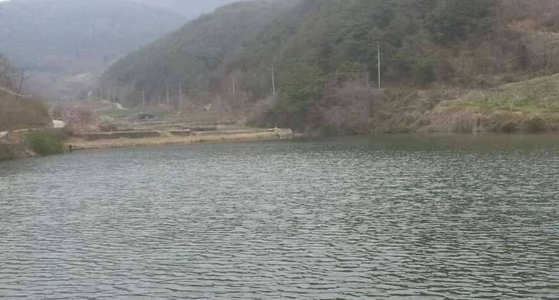 낚시스타일이 어찌되세요 (커뮤니티 - 자유게시판)