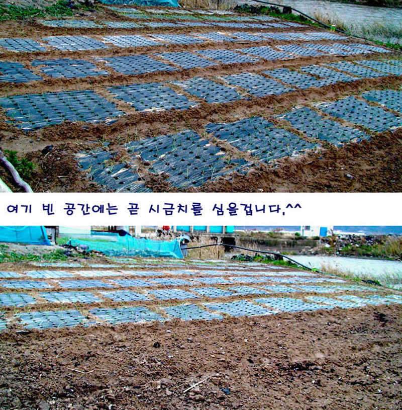 오늘 대단했습니다 (커뮤니티 - 자유게시판)