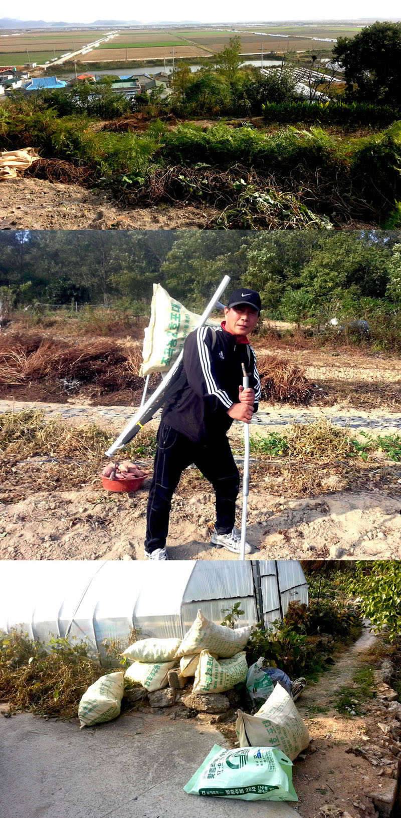 정가일기 서울양반 계슈 (커뮤니티 - 자유게시판)