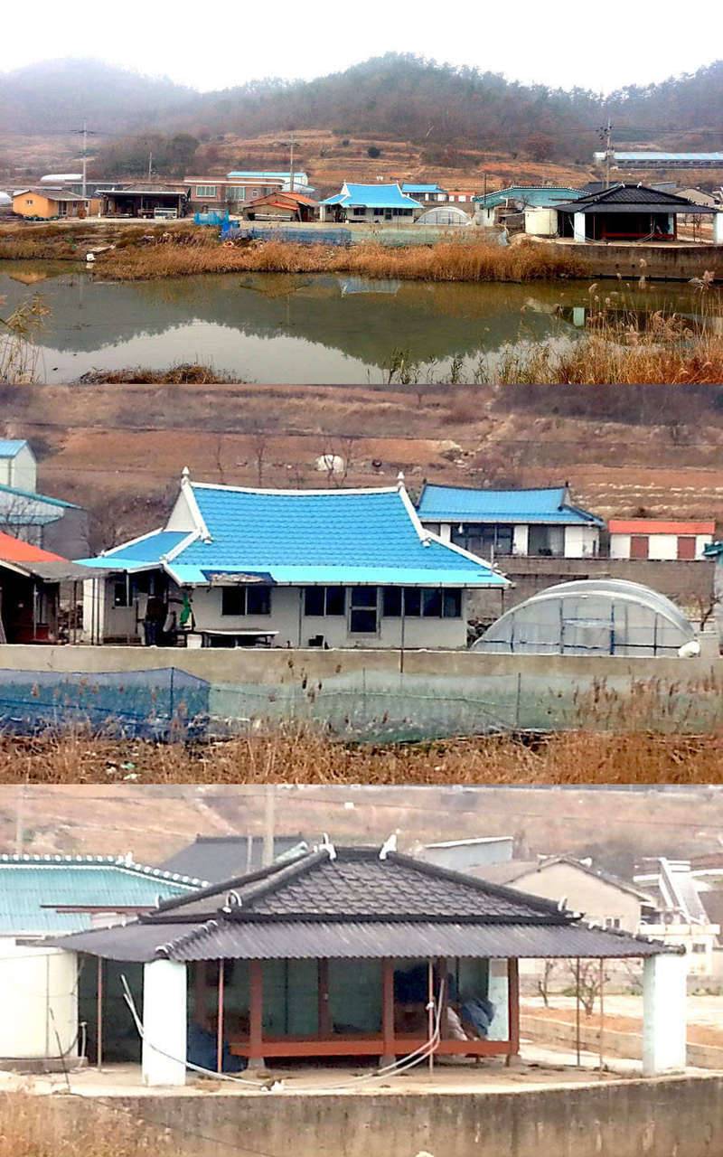 情家일지 득템과 변화 (커뮤니티 - 자유게시판)