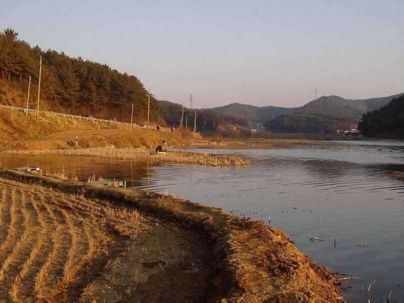 인사말씀드리겠읍니다 (커뮤니티 - 자유게시판)