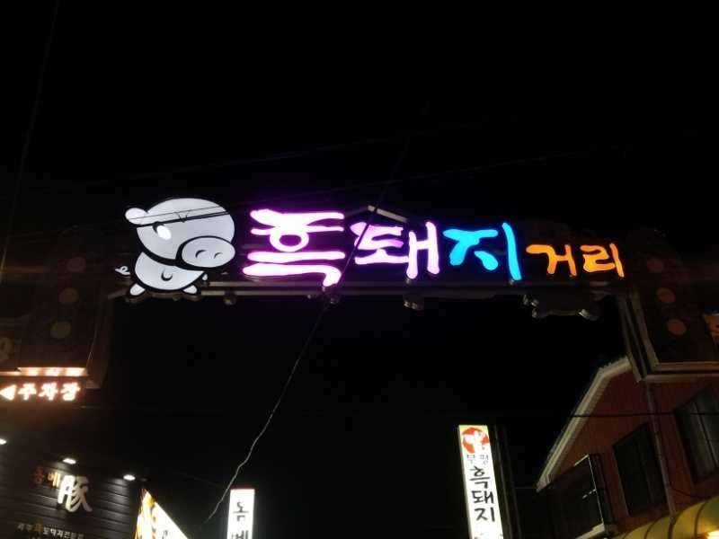 제주도 여행기 임돠 붕어향 (커뮤니티 - 자유게시판)