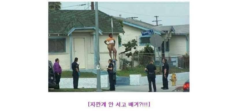 분위기 살리기 (커뮤니티 - 자유게시판)