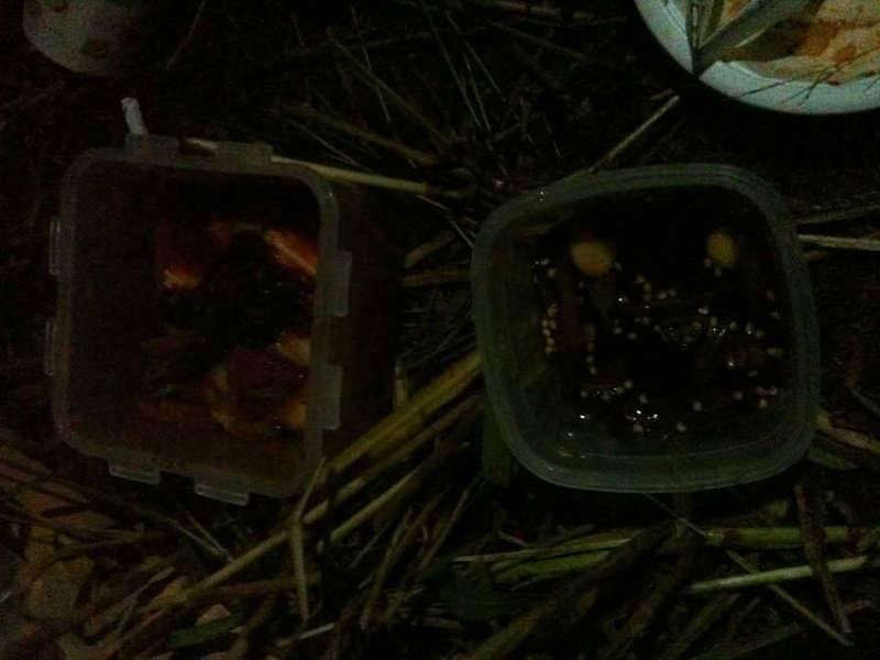 F병장님 중대장님 잘 얻어 먹었습니다 (커뮤니티 - 자유게시판)