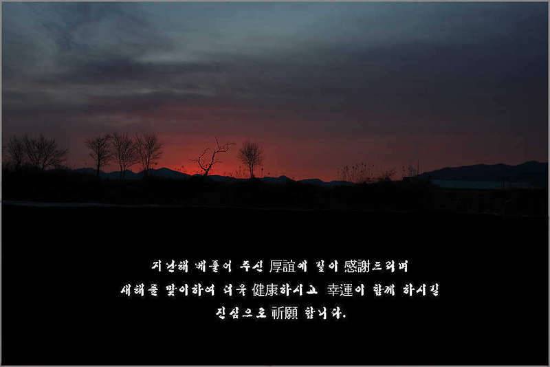 새해 첫 날입니다 (커뮤니티 - 자유게시판)