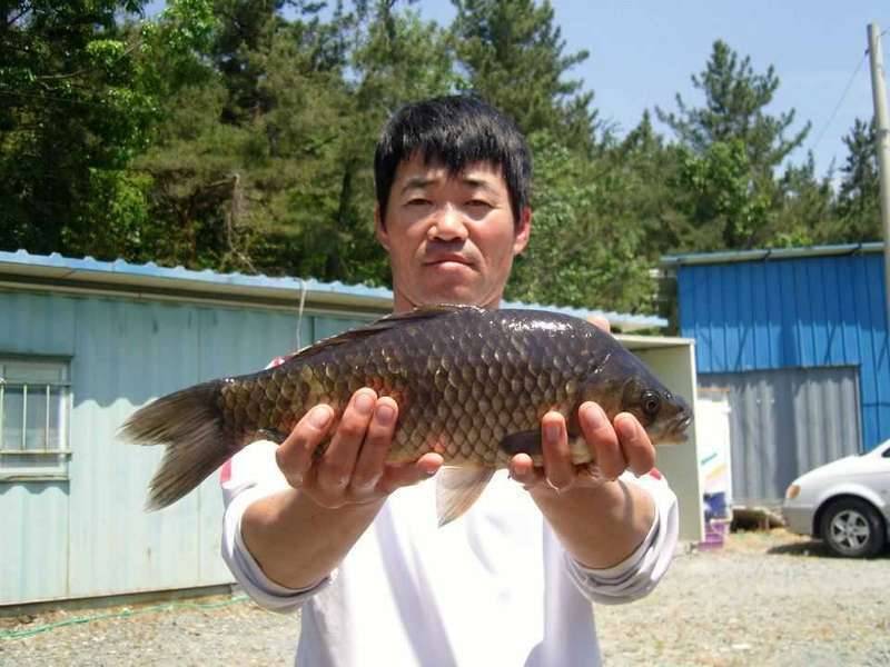 이 시기 남도권 나올 만한 곳 (커뮤니티 - 자유게시판)