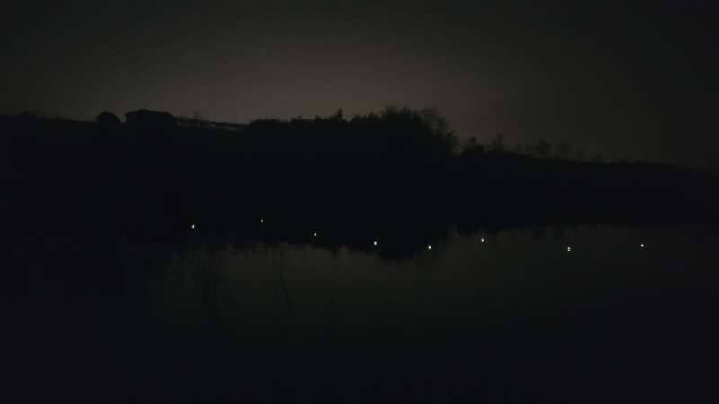 붕어는 없는줄 알고있다 (커뮤니티 - 자유게시판)
