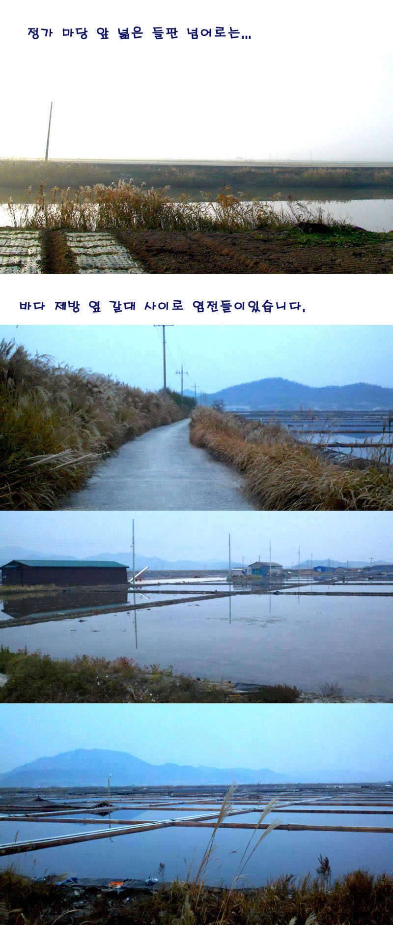 나뭇꾼의 전성시대 (커뮤니티 - 자유게시판)