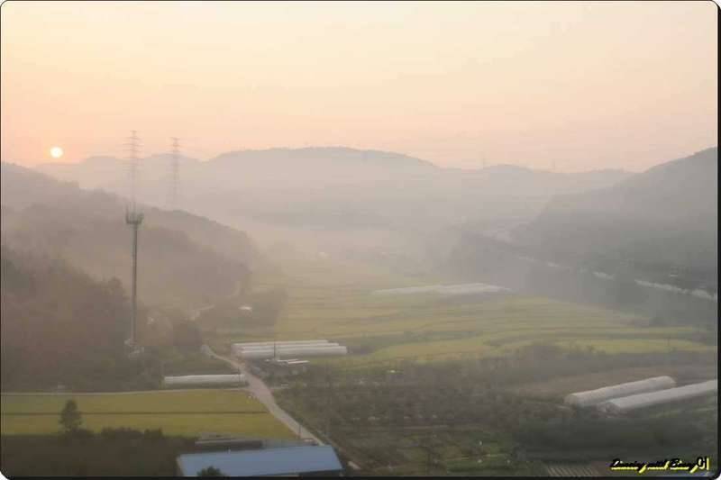 집에서 맞는 일출 (커뮤니티 - 자유게시판)