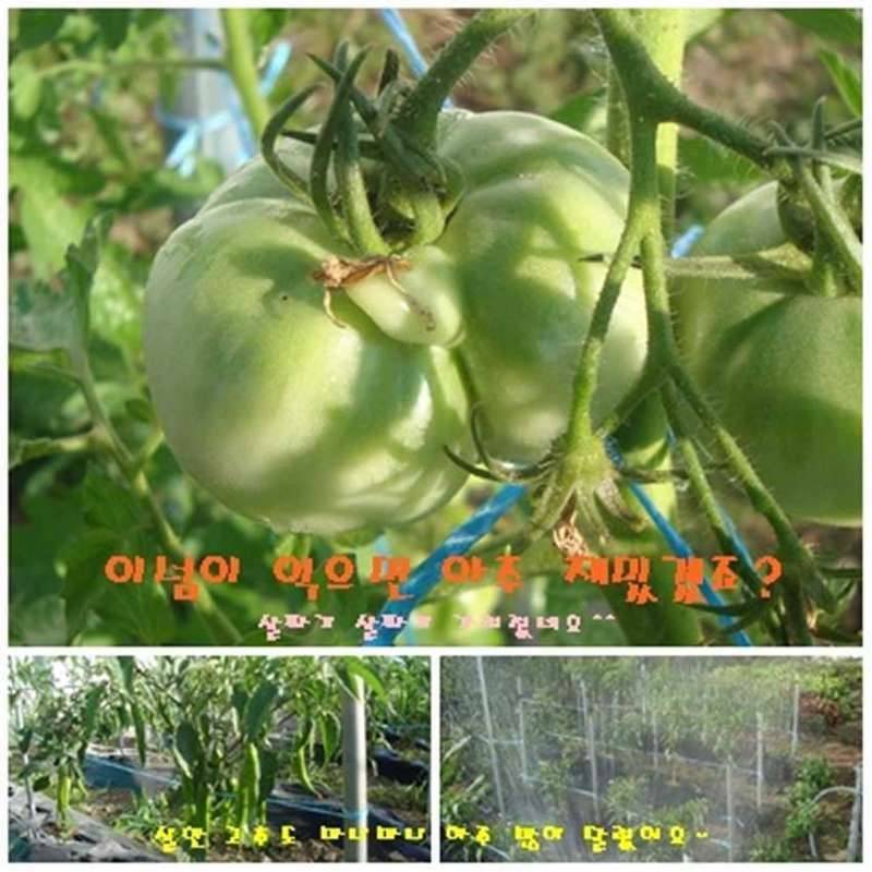 저는 행복한 하루를 이렇게 엽니다 (커뮤니티 - 자유게시판)