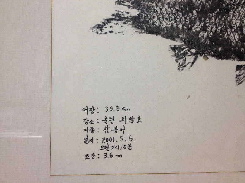 12년전 아부지가 만들어주신 어탁 (커뮤니티 - 자유게시판)