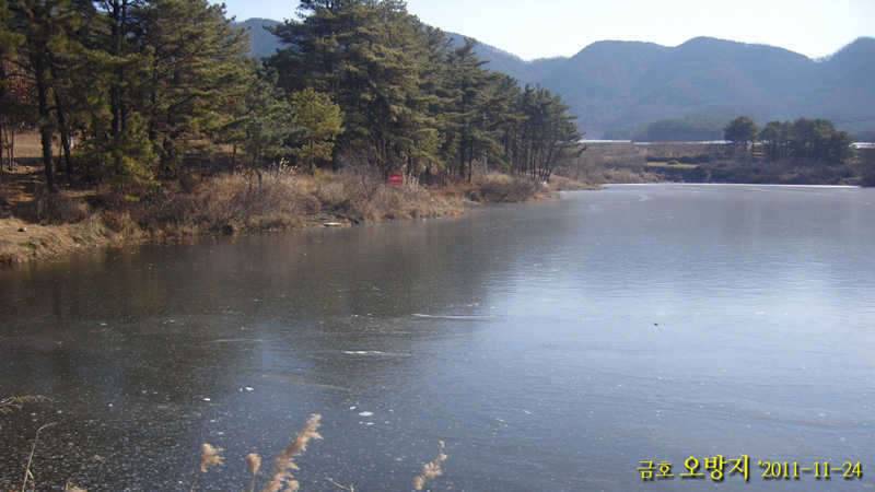 경산진량자인대창금호 저수지 소식입니다 (커뮤니티 - 자유게시판)